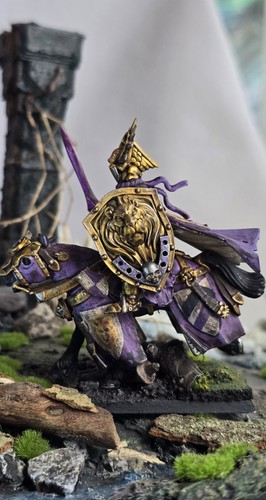 Pro painted bretonnia duke - bretonnia,