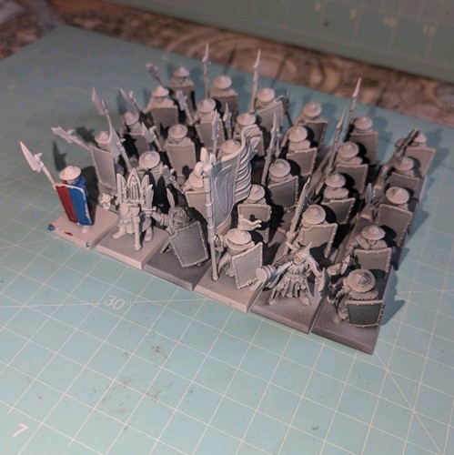 30x bretonnia men arms with - at,