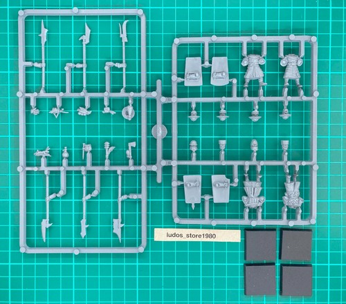 Bretonnia men arms 4 - arms, x