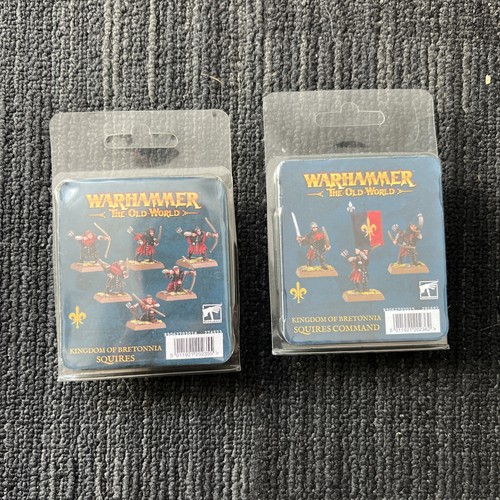 Warhammer the old - the, world