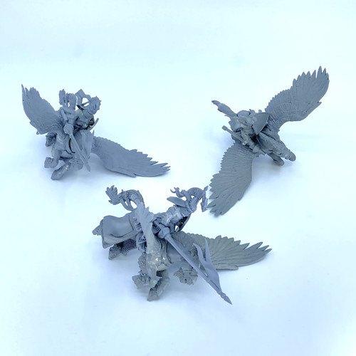 Pegasus knights bretonnia - -,